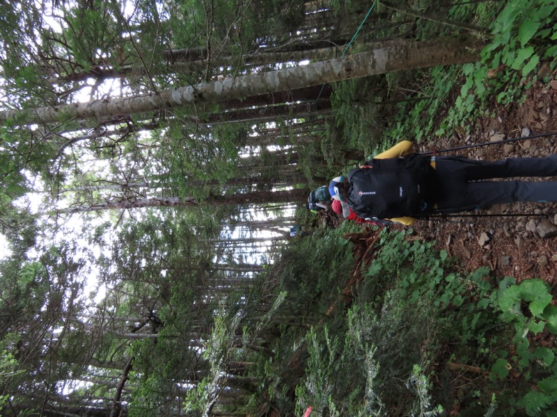 蝶ヶ岳、上高地右岸歩道