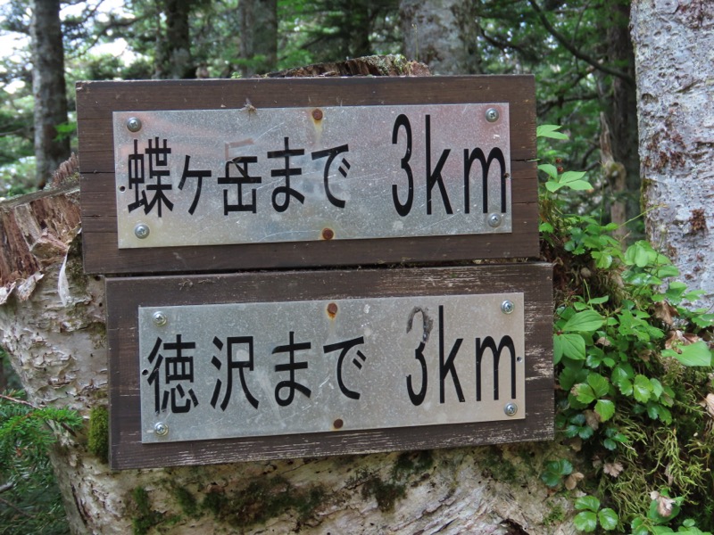 蝶ヶ岳、上高地右岸歩道