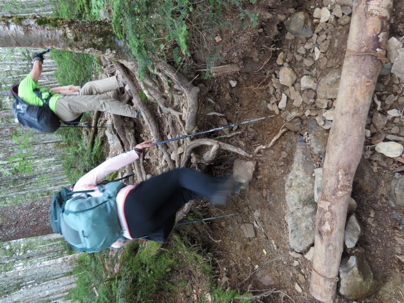 蝶ヶ岳、上高地右岸歩道