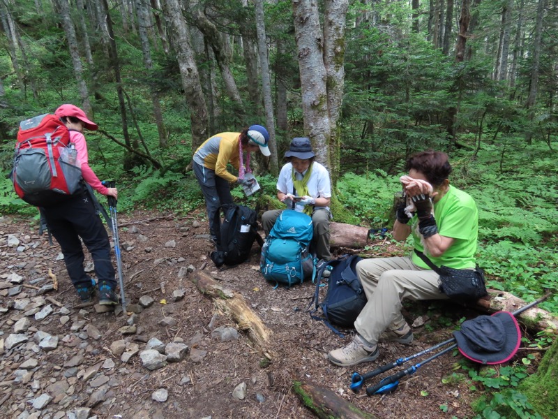 蝶ヶ岳、上高地右岸歩道