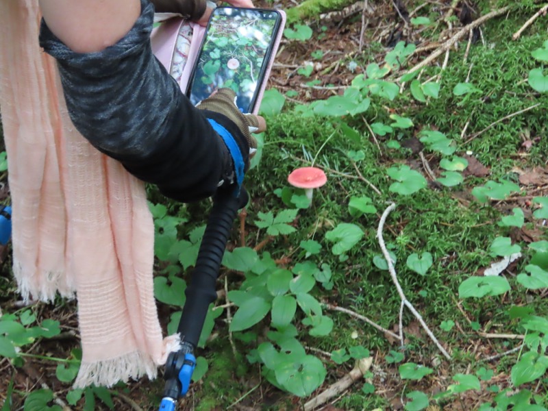 蝶ヶ岳、上高地右岸歩道