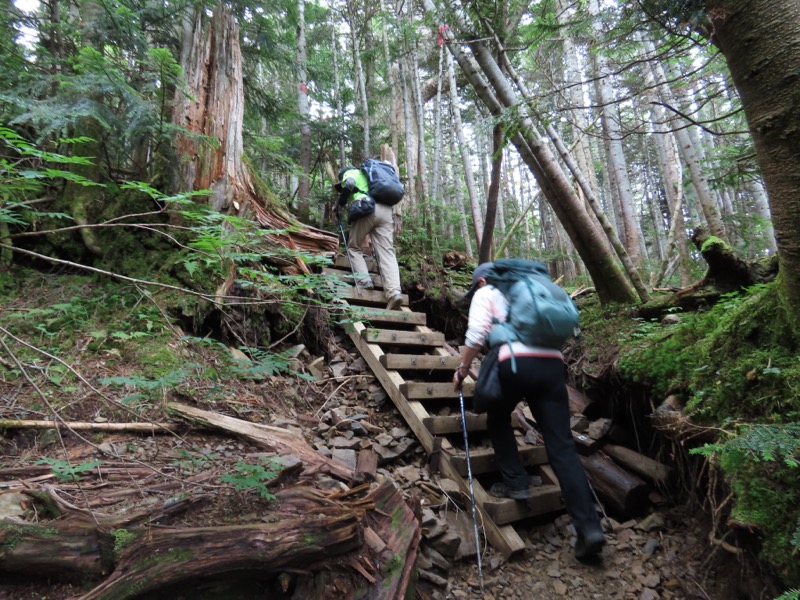 蝶ヶ岳、上高地右岸歩道