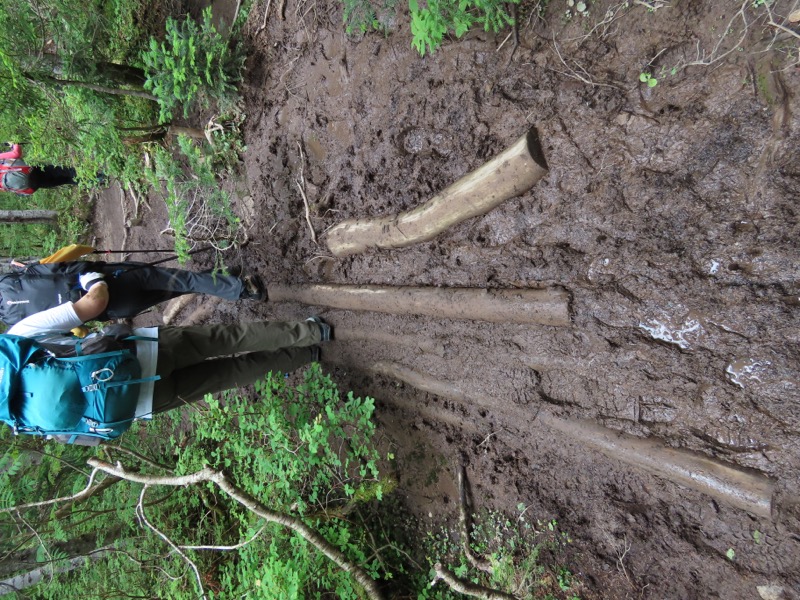 蝶ヶ岳、上高地右岸歩道
