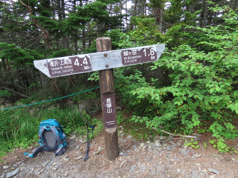 蝶ヶ岳、上高地右岸歩道