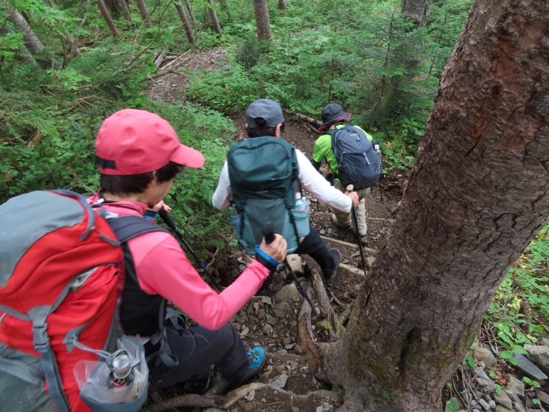 蝶ヶ岳、上高地右岸歩道