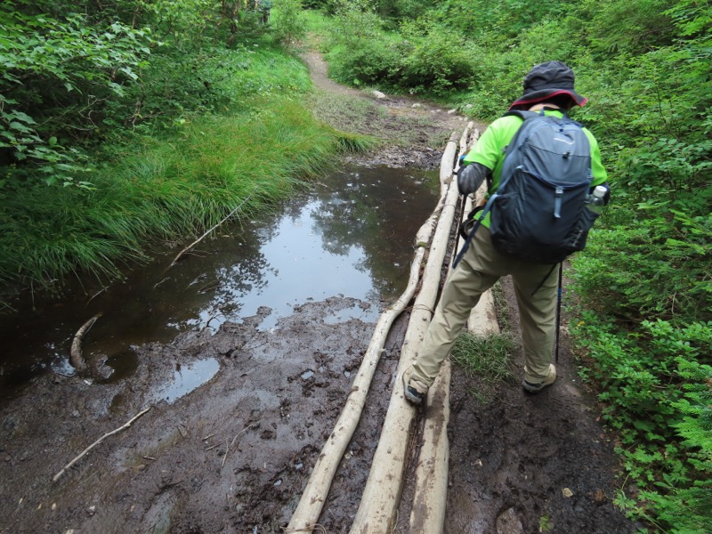 蝶ヶ岳、上高地右岸歩道