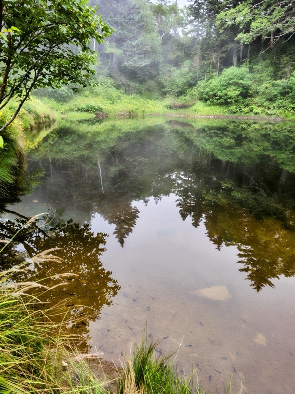 蝶ヶ岳、上高地右岸歩道