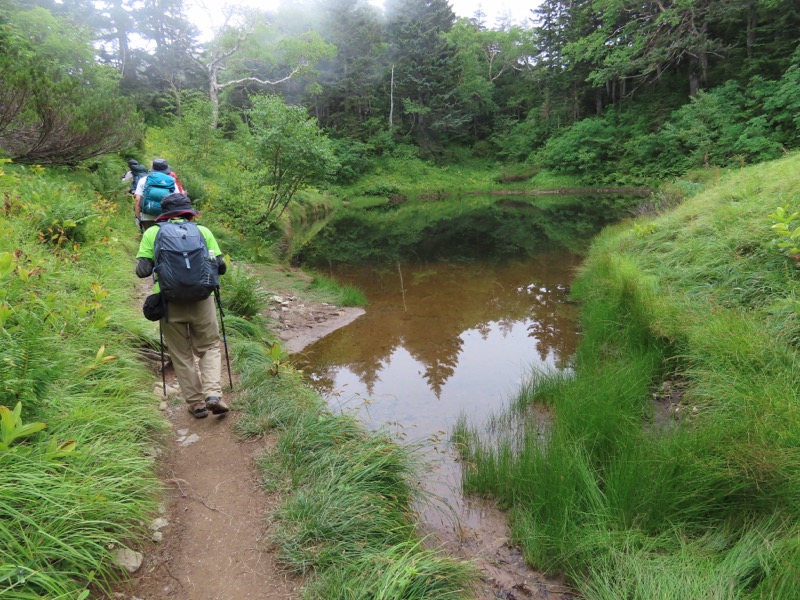 蝶ヶ岳、上高地右岸歩道