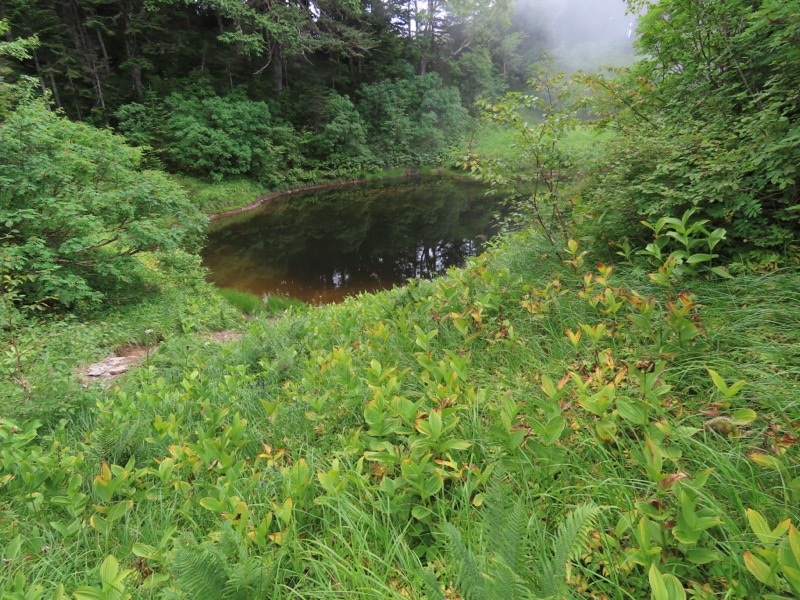 蝶ヶ岳、上高地右岸歩道