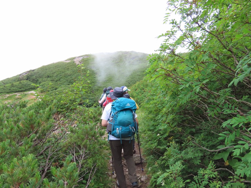 蝶ヶ岳、上高地右岸歩道