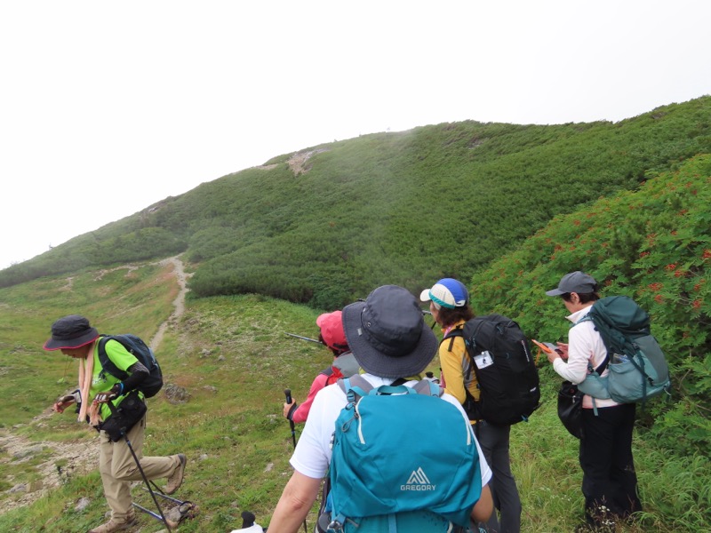 蝶ヶ岳、上高地右岸歩道