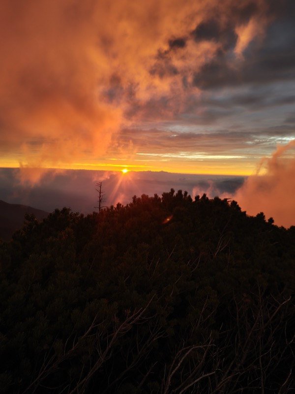 蝶ヶ岳、上高地右岸歩道