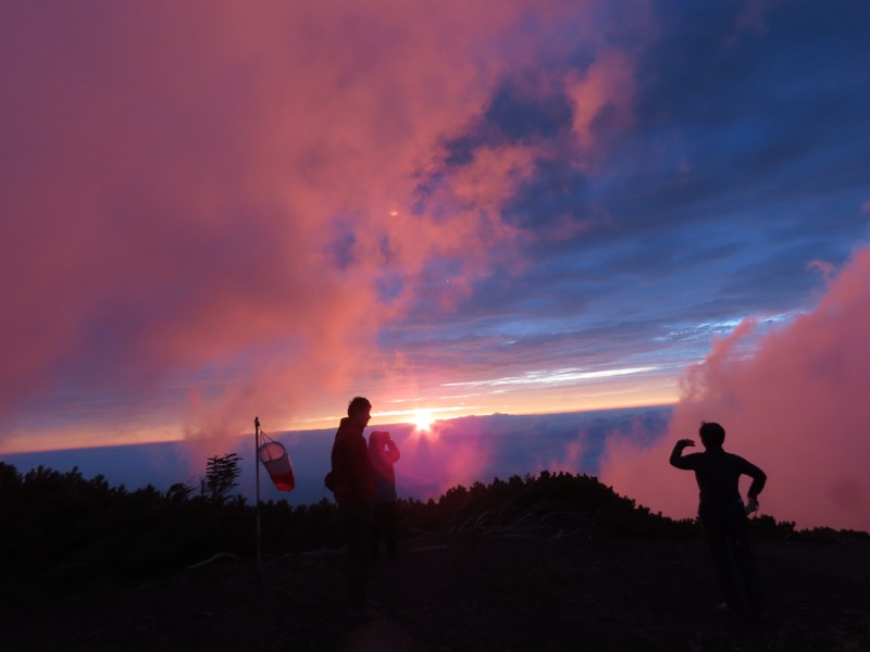 蝶ヶ岳、上高地右岸歩道