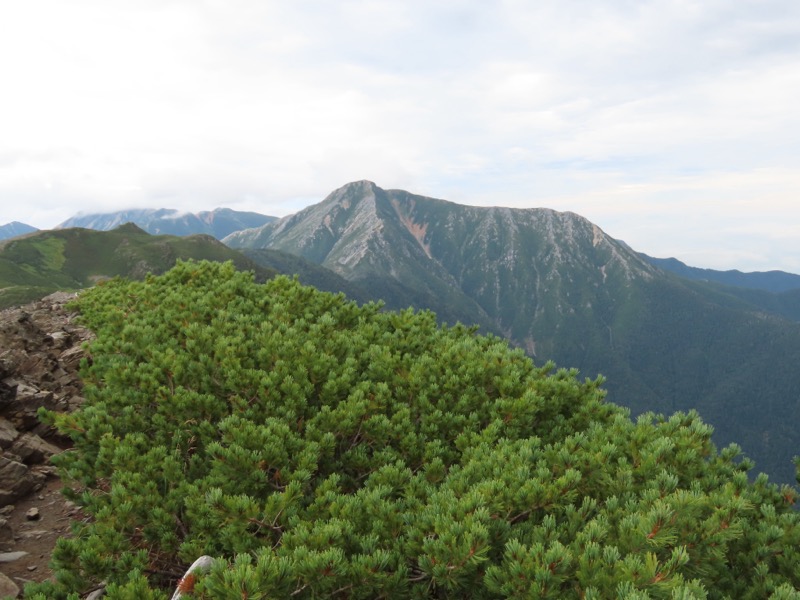 蝶ヶ岳、上高地右岸歩道