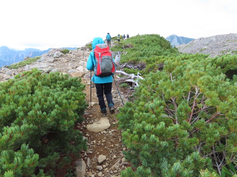 蝶ヶ岳、上高地右岸歩道