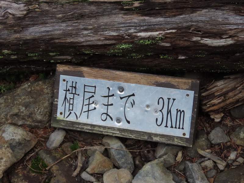 蝶ヶ岳、上高地右岸歩道