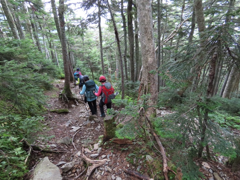 蝶ヶ岳、上高地右岸歩道