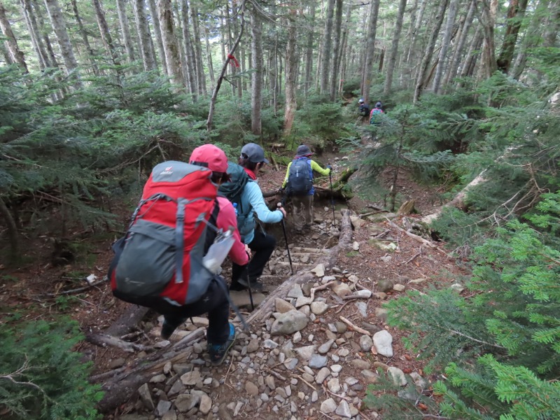 蝶ヶ岳、上高地右岸歩道