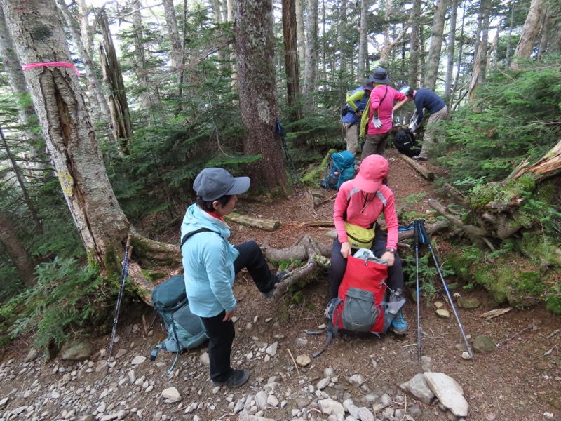 蝶ヶ岳、上高地右岸歩道