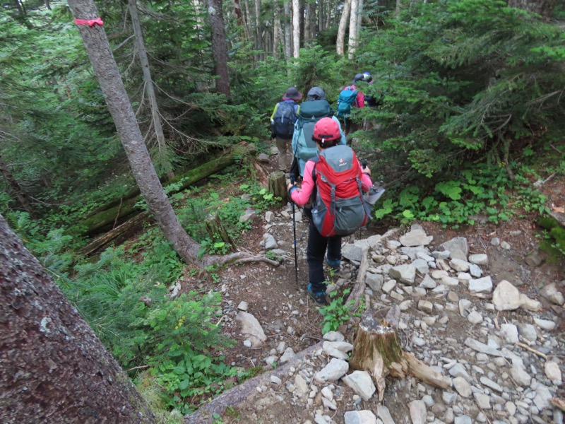 蝶ヶ岳、上高地右岸歩道