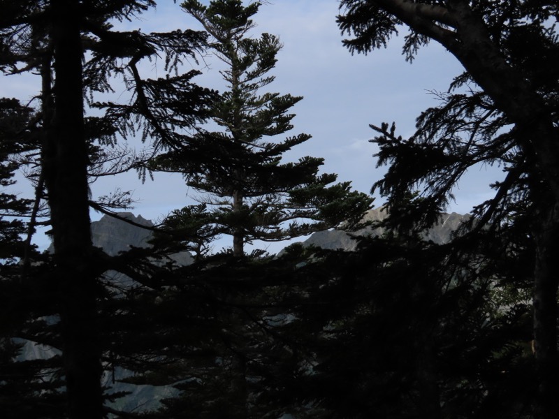 蝶ヶ岳、上高地右岸歩道