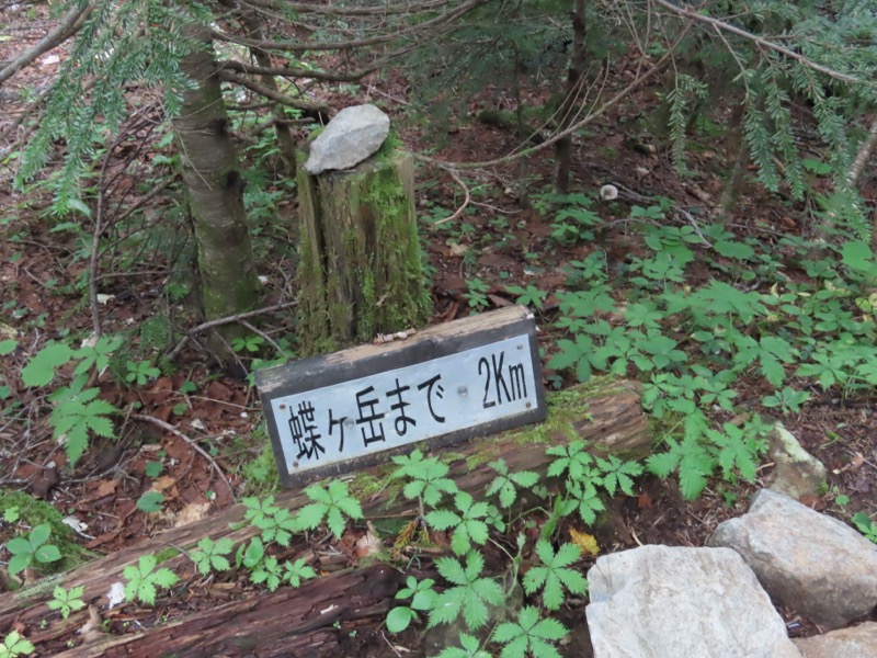 蝶ヶ岳、上高地右岸歩道