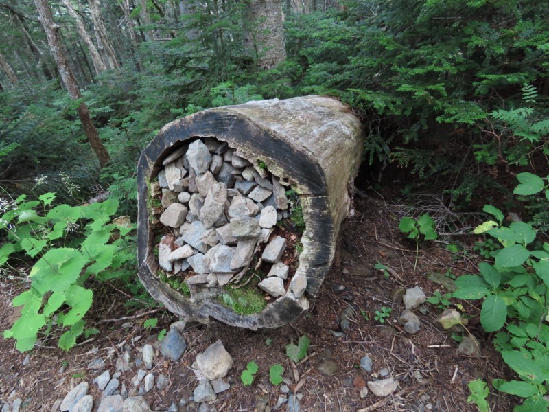 蝶ヶ岳、上高地右岸歩道