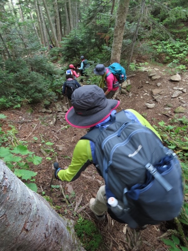 蝶ヶ岳、上高地右岸歩道