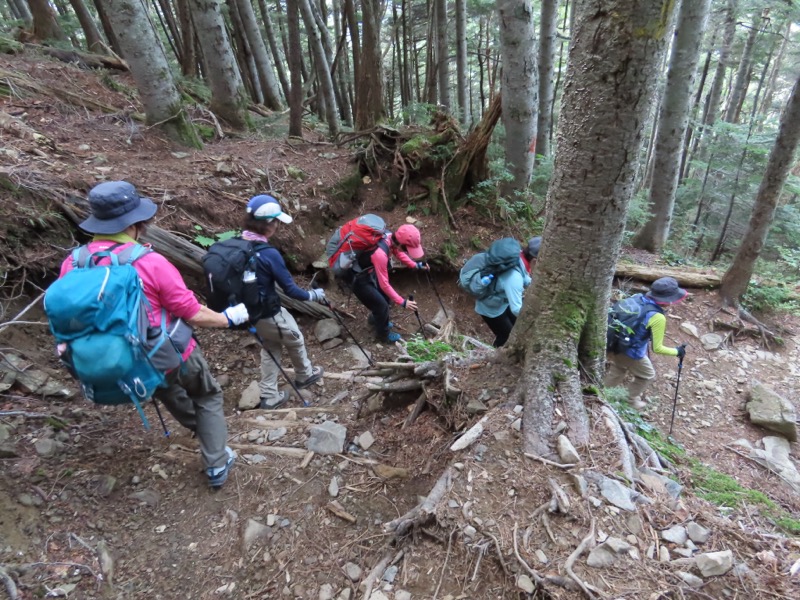 蝶ヶ岳、上高地右岸歩道