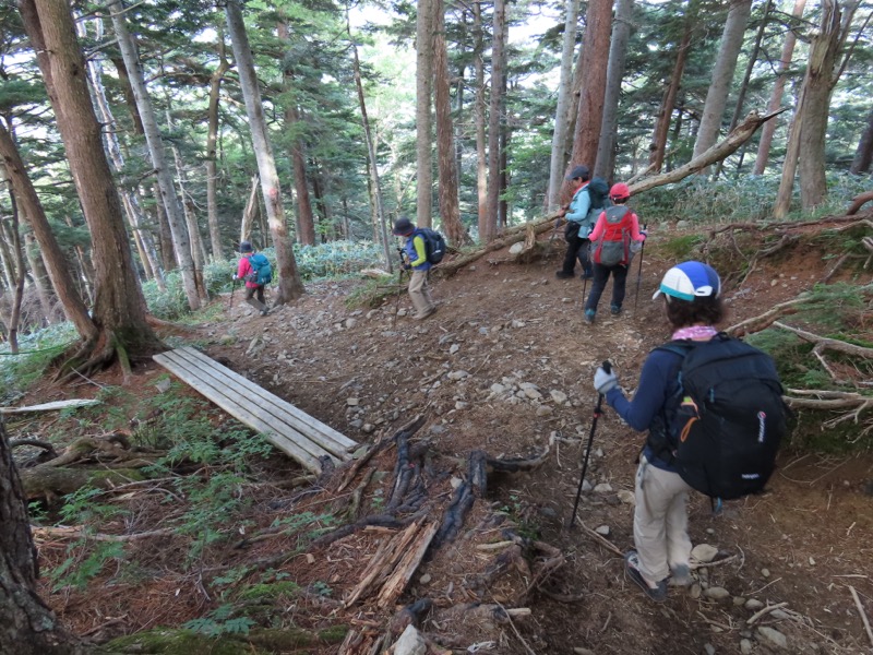 蝶ヶ岳、上高地右岸歩道