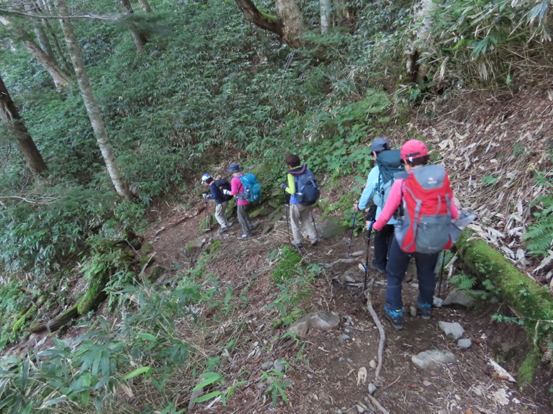 蝶ヶ岳、上高地右岸歩道