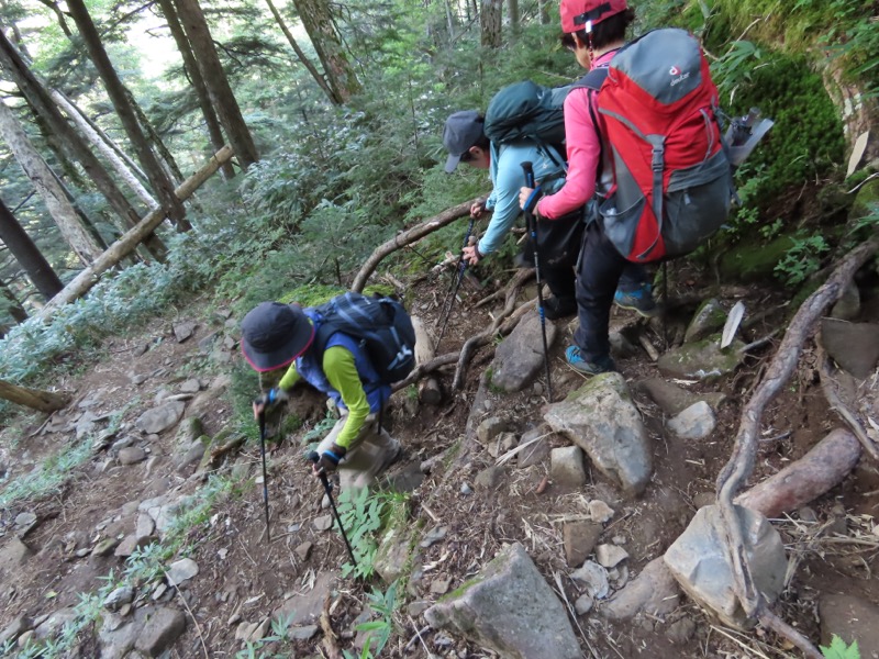 蝶ヶ岳、上高地右岸歩道