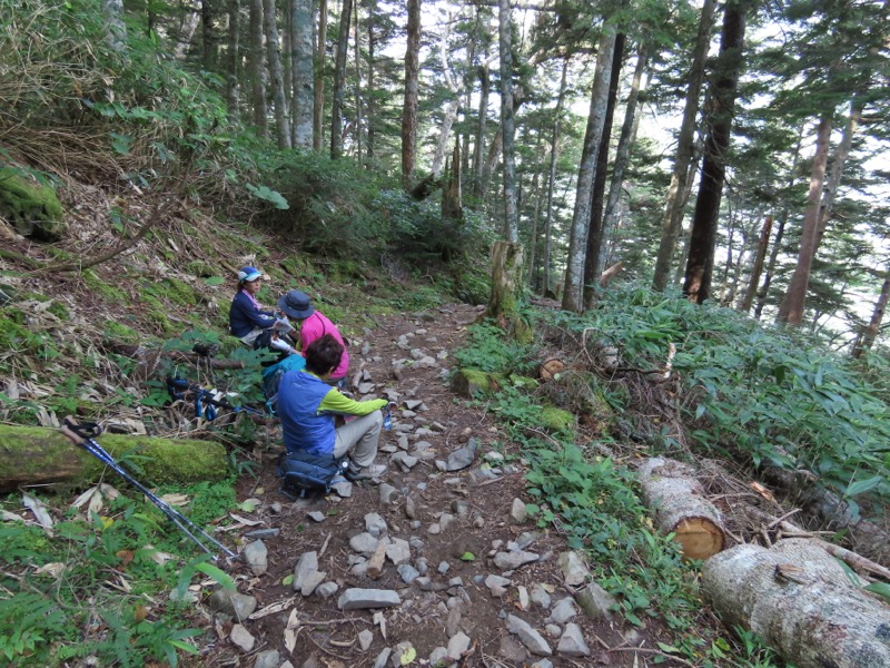 蝶ヶ岳、上高地右岸歩道