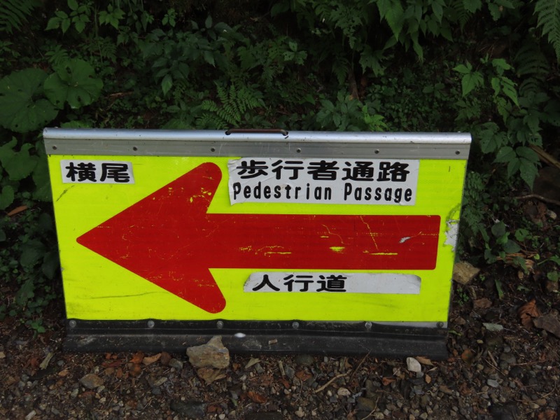 蝶ヶ岳、上高地右岸歩道