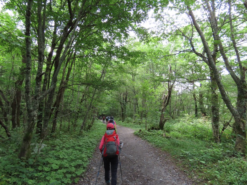 蝶ヶ岳、上高地右岸歩道