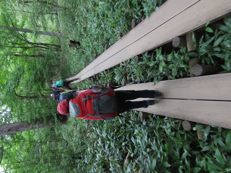 蝶ヶ岳、上高地右岸歩道