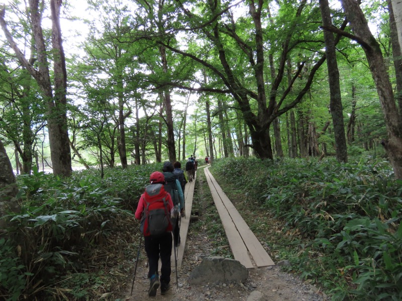 蝶ヶ岳、上高地右岸歩道