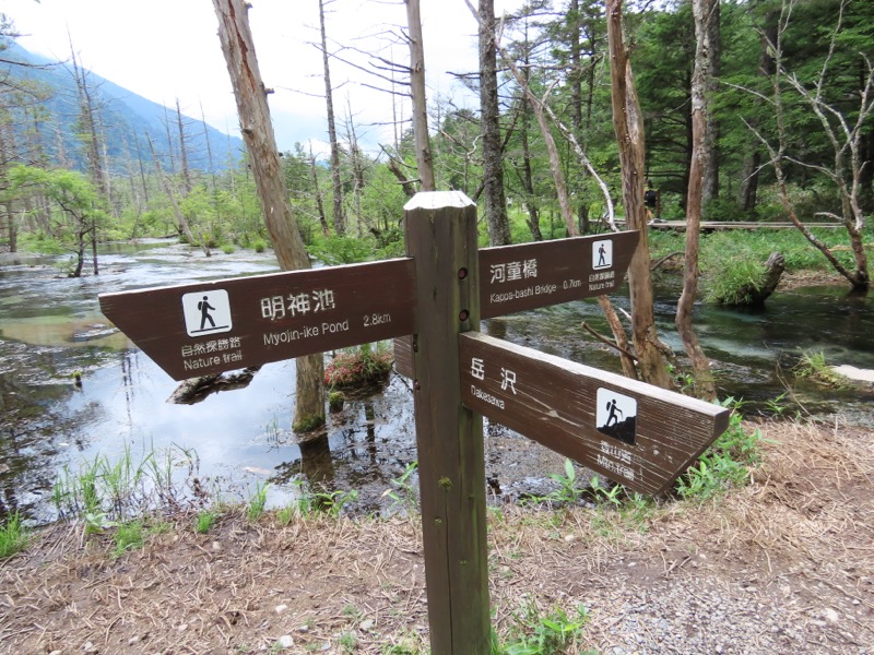蝶ヶ岳、上高地右岸歩道