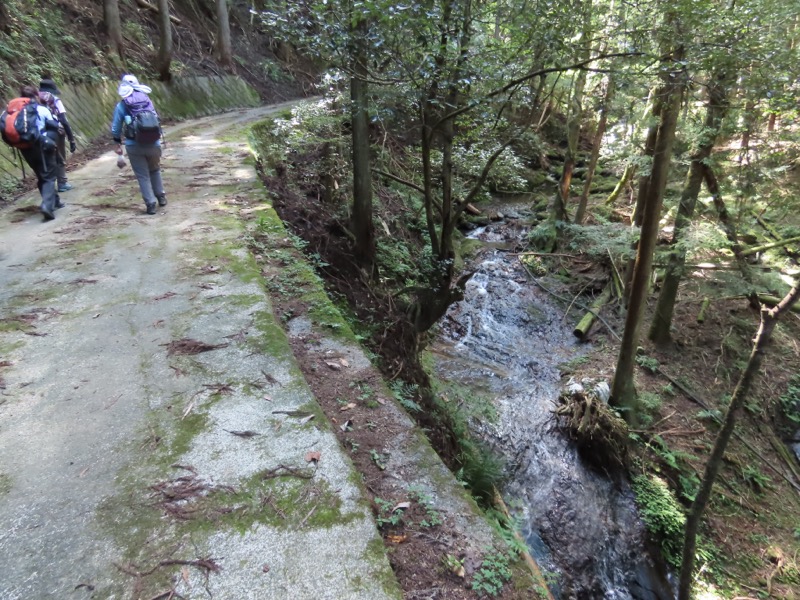 高柄山