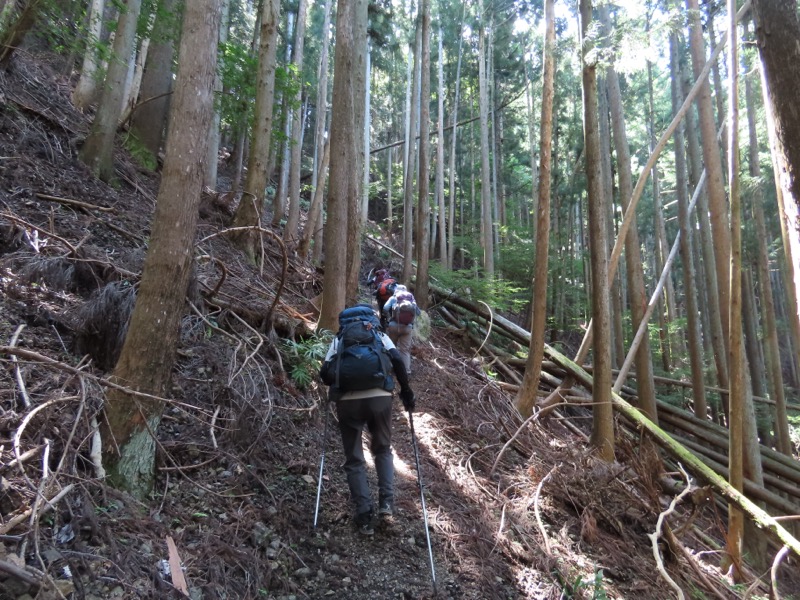 高柄山