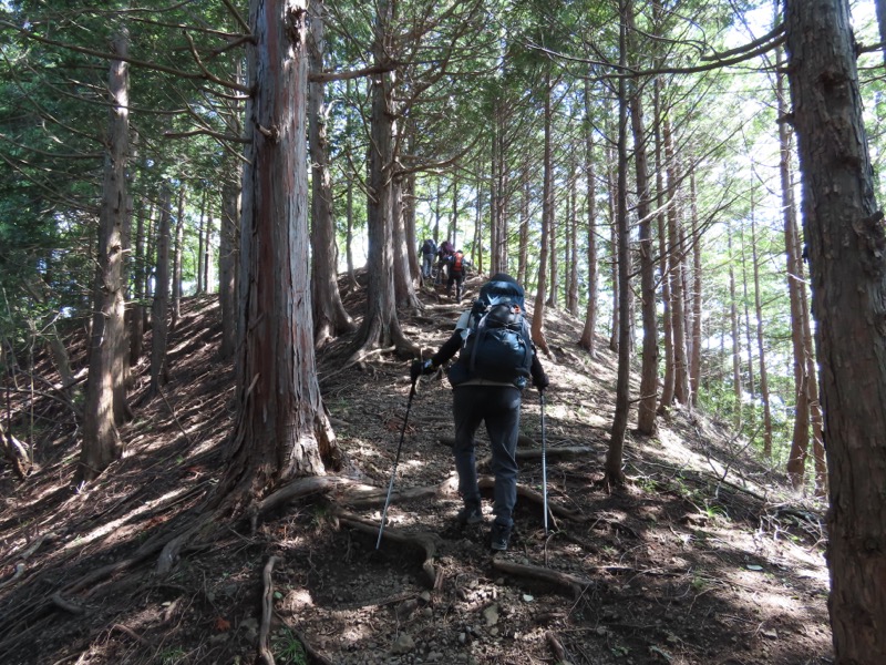 高柄山