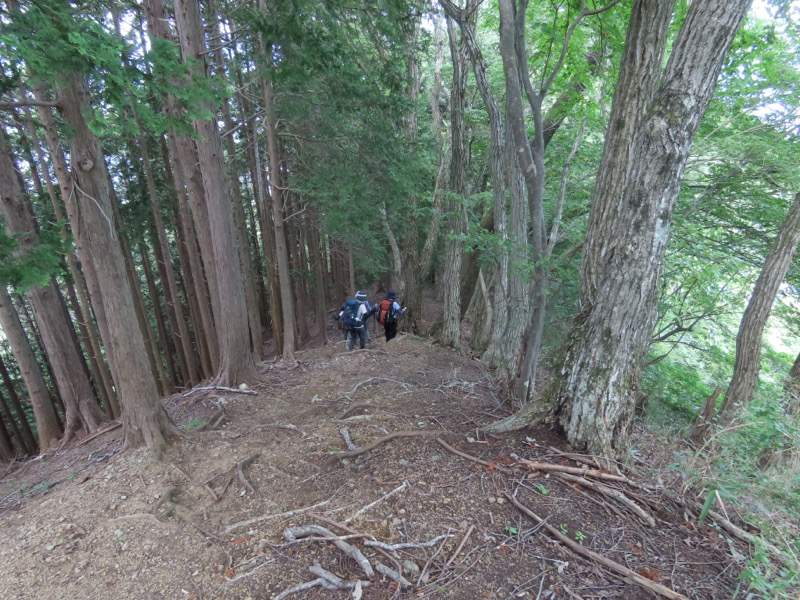 高柄山