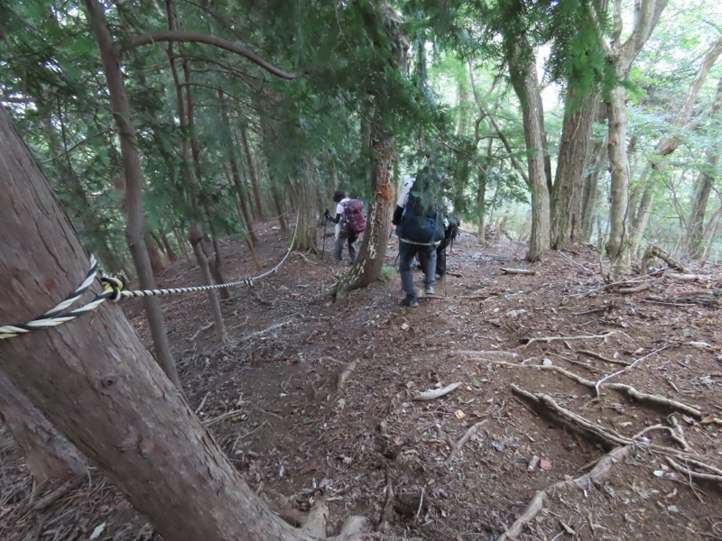 高柄山