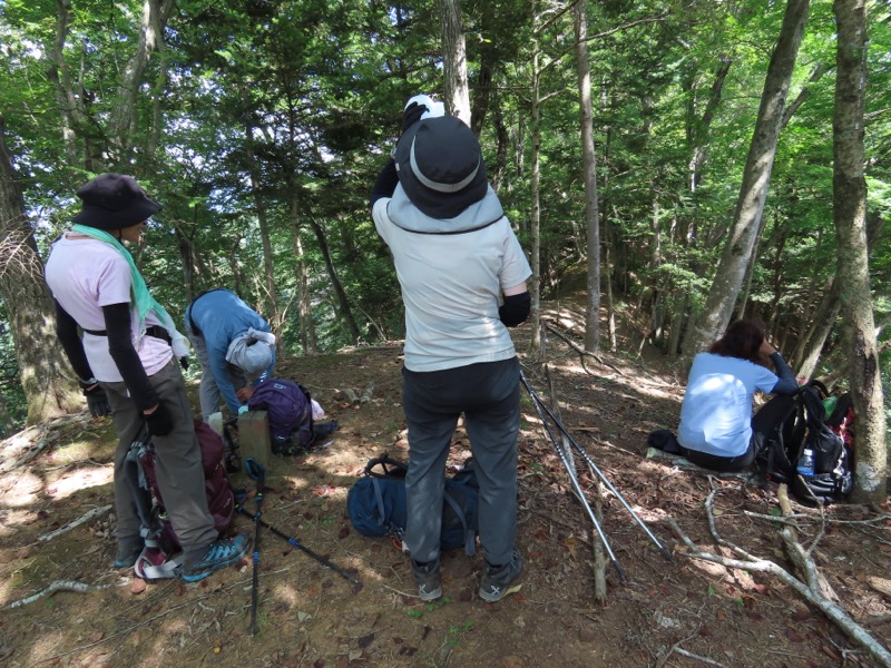 高柄山