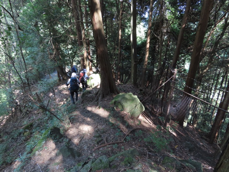 高柄山