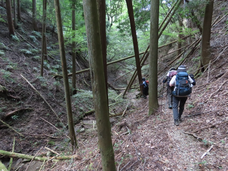 高柄山