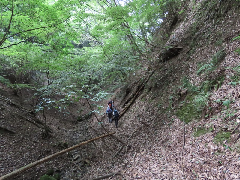 高柄山