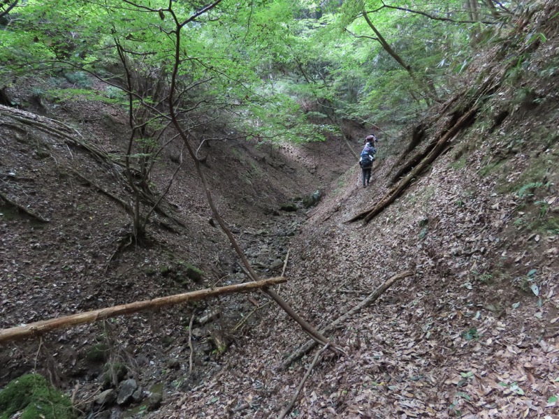 高柄山