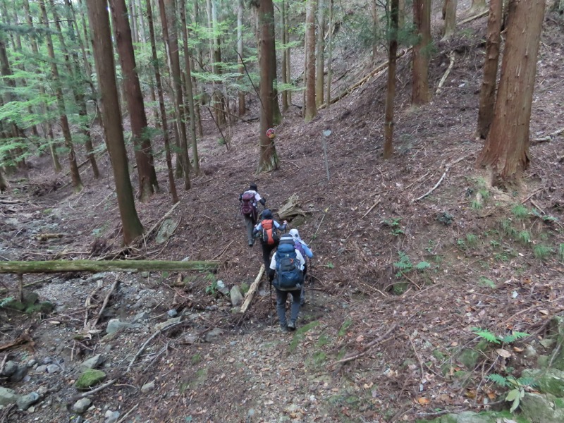 高柄山