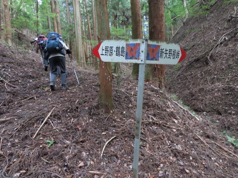 高柄山